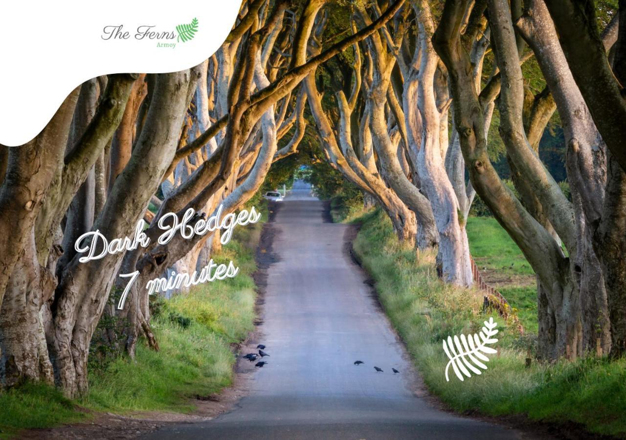 The Ferns-Ideal Base For Exploring The Causeway Coast Armoy المظهر الخارجي الصورة